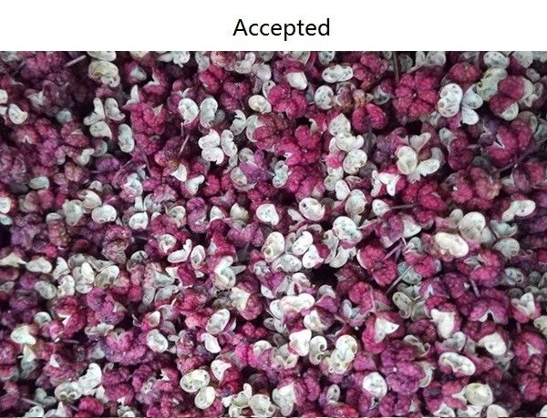 Intelligent Cleaning CCD Spice Color Sorter