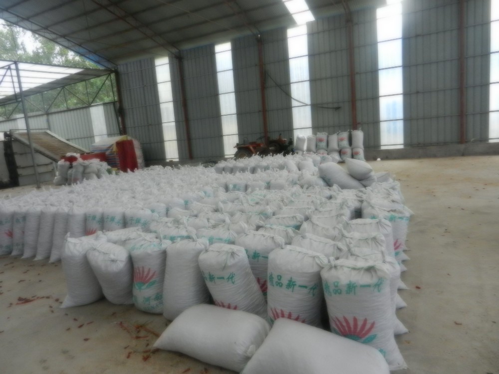 50000SHU Red Bullet Chilli With Hat King Chili Small Size Best Seasoning