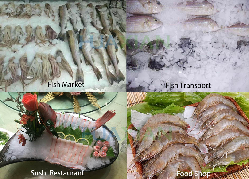 China Industrial Ice Maker Machine Price, Flake Ice Making Seafood Processing Machine