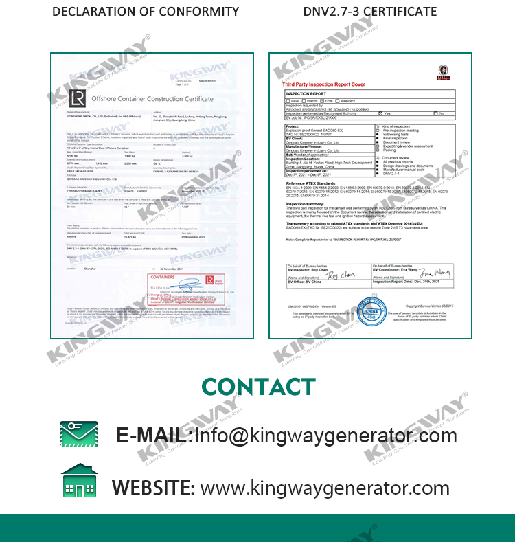 Supply 100kva 80kw 400v 50hz 3 phase 4 wire explosion proof ATEX diesel generator
