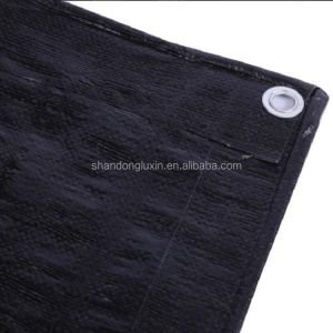 Fabric PE Tarpaulins Stabilized Against UV Rays Lightweight and Abrasion