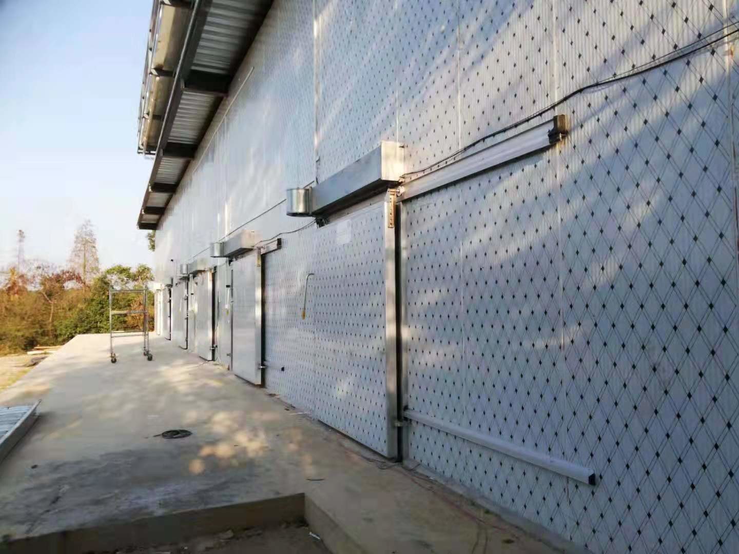 380V Walk In Cold Storage Room For Fish Meat Vegetable -20 ~ + 20 Degree Temperature