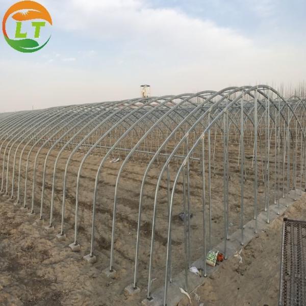 Film Cover Material Hot-dipped Galvanized Frame Agricultural Greenhouse in 6m/8m