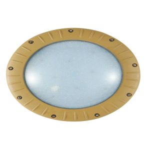 Lumen Dating IP65 100w Explosion Proof Led Lamp For Oil Filed Platform