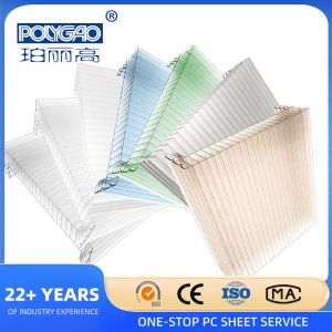 100% Virgin Material Danpalon Polycarbonate Multiwall U Locked Panel Hollow