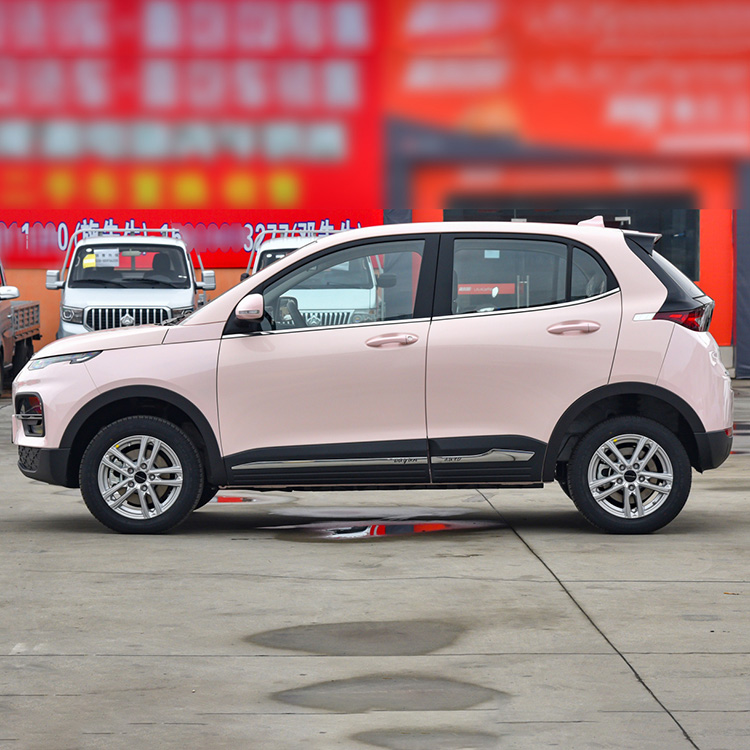 Electric SUV Dayun Yuehu Left and Right Rudder Electric Vehicle for Energy Vehicles