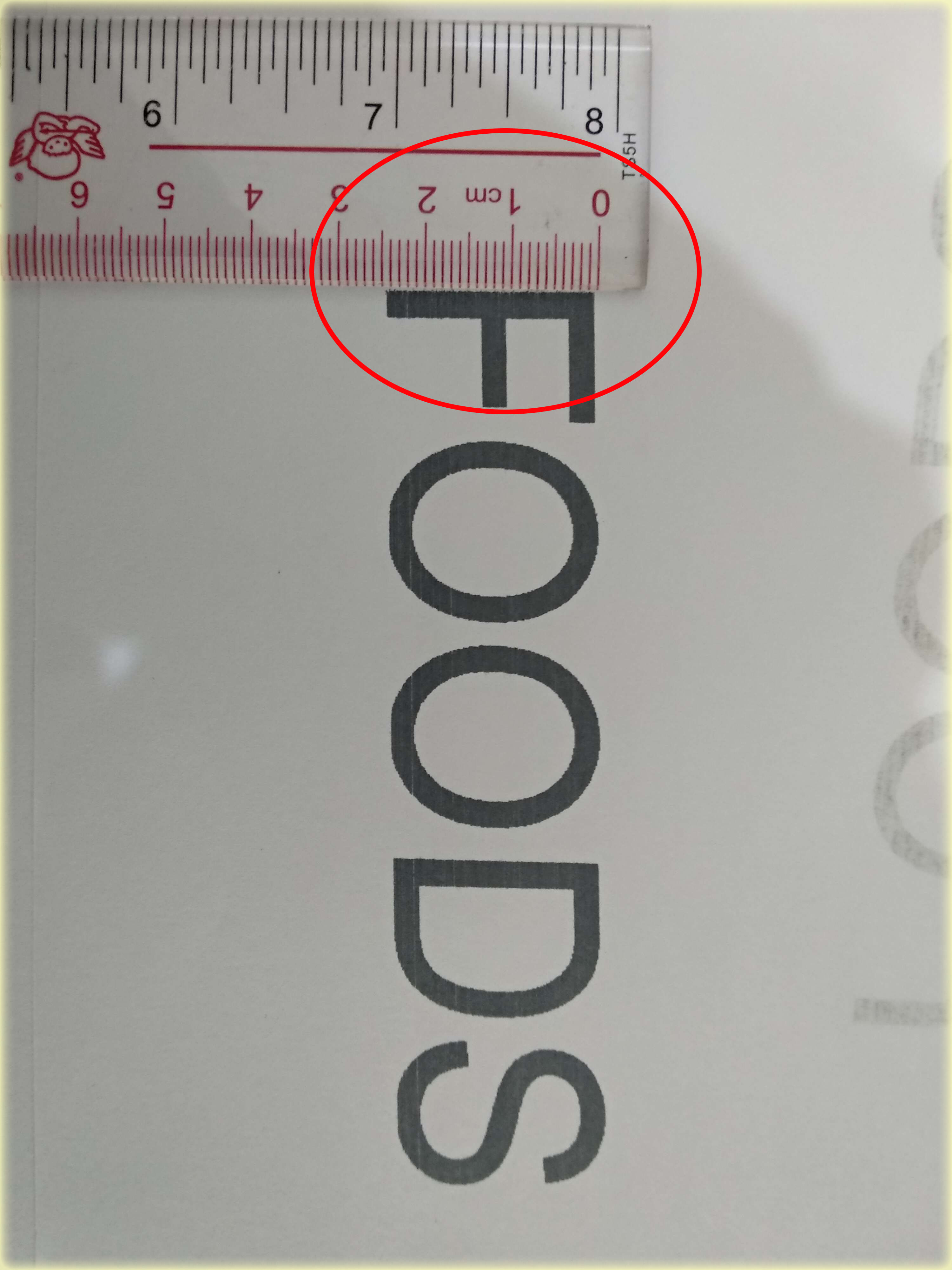 HAE Large Character Printer Coding Sample