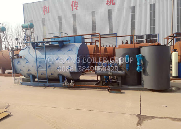 Fully Automatic Natural Gas Fired Steam Boiler For Crude Palm Factory