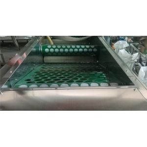 garlic sorting machine, garlic grading machine, garlic sorter, garlic grader