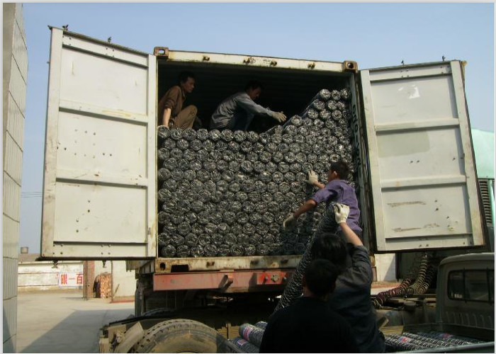 1" x 1" 1.2mm Hot dip galvanized Hexagonal Chicken Wire