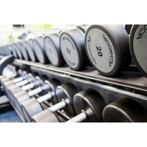  dumbbells for gym OEM the dumbbell Manufactures