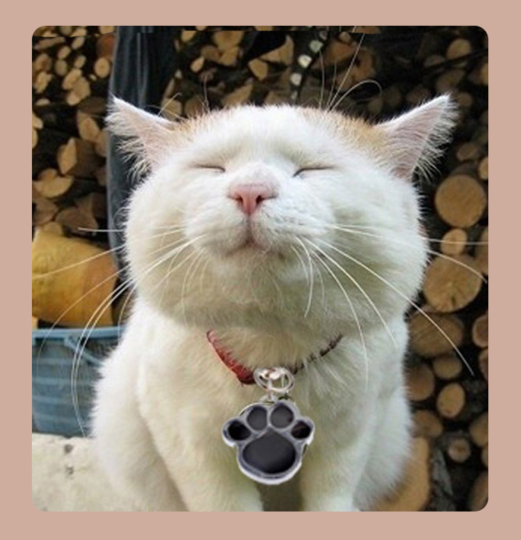 Paw Shape 25mm Dog Identification Tag Pendant Noiseless Dog Tags