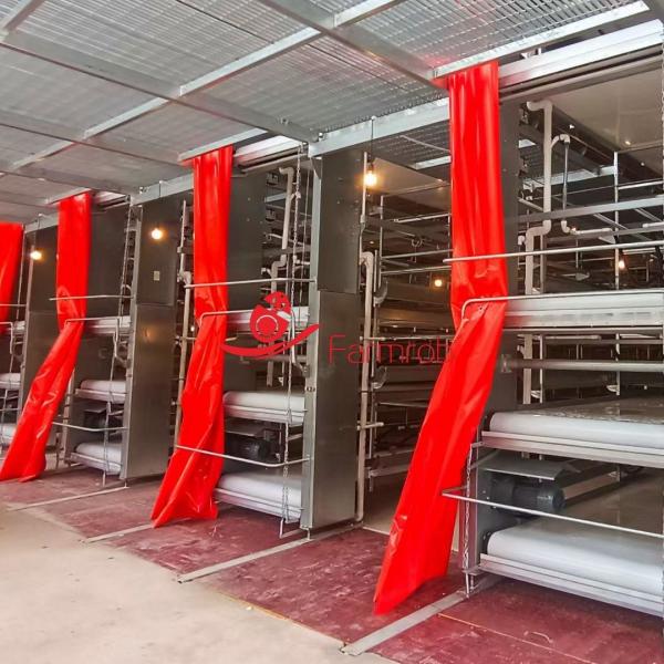 Quality Anti-Aging Stable Operation Poultry Manure Removal System Rust Resistance for sale