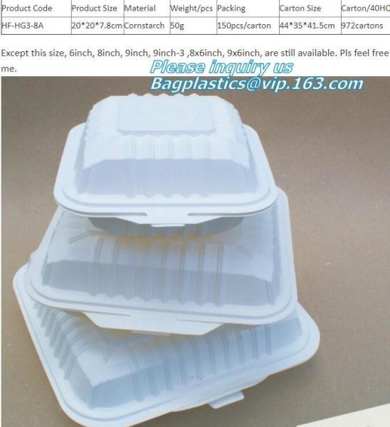 cornstarch eco Green 16oz Food Container Sugarcane Biodegradable Square