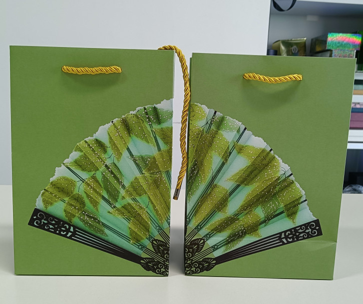 Wholesale Custom Pantone Color Disposable Hotel Using Paper Bag With Golden Strings Handle