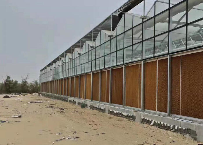 9.6m 10.8m 12m span venlo prefab glass greenhouse indoor for vegetable hydroponic