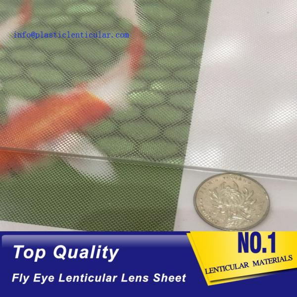 PLASTIC LENTICULAR 17 lpi lenticular fly eye lenslet sheets-360 3d microscopes