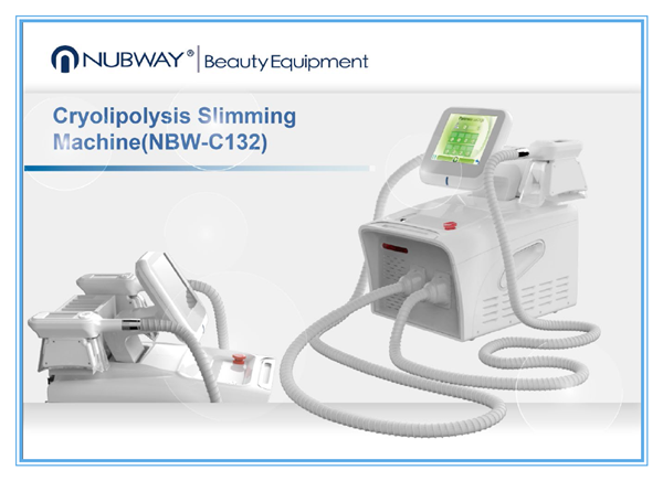2018 professional cryolipolysis fat freezing machine home device fat freeze with CE&ISO