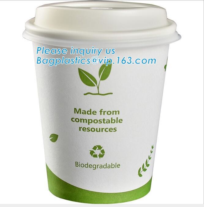 Meal Prep Containers Free Sample Bento Lunch Box Biodegradable Food Container Plastic Wheat Straw Lunch Box bagplastics