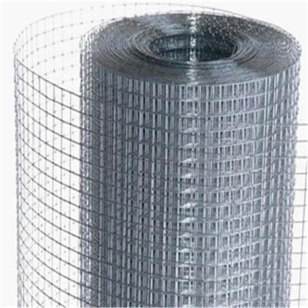Quality Galvanized Welded Wire Mesh Roll 1cm 2cm Grid Welded Wire Mesh 1x20m Wall Anti Crack Welded Wire Mesh for sale