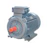 Buy cheap 750W Industrial AC Motors 50HZ /60HZ 380V Induction Motor Asynchronous from wholesalers