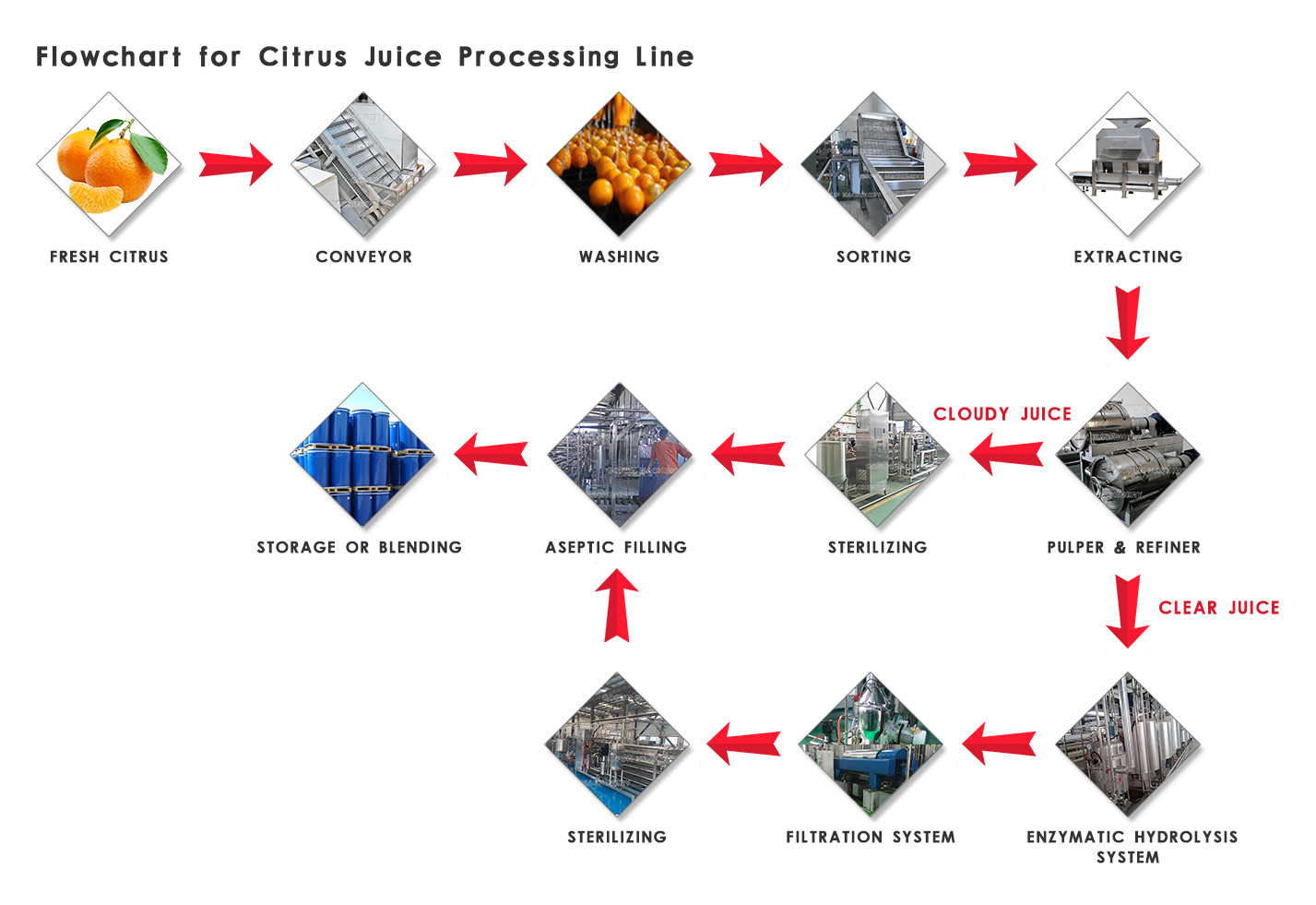Industrial Citrus Processing Line Orange Lemon Processing Unit 1 Year Warranty