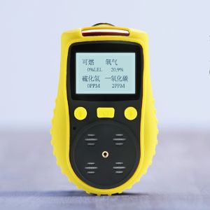 China Portable Multi Gas Detector CO O2 H2S CH4 Detected With Diffusion High Precision on sale