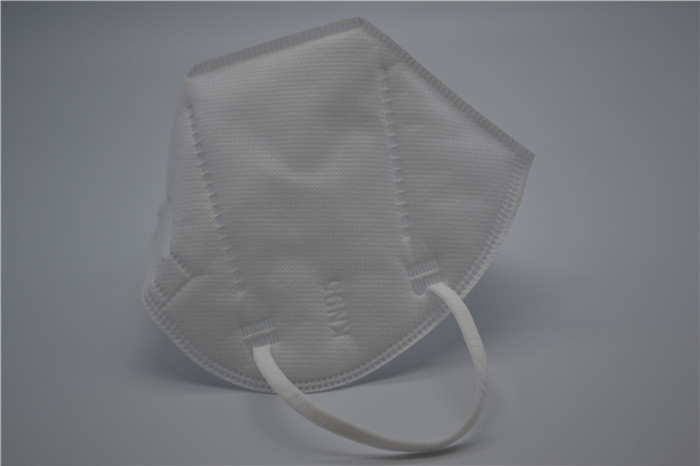 Anti Pollution Virus PM 2.5 N95 KN95 Earloop Mask