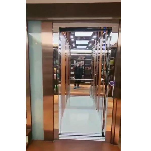 Stainless Steel Cable Traction Small Residential Elevators Smooth Running 0.6 M