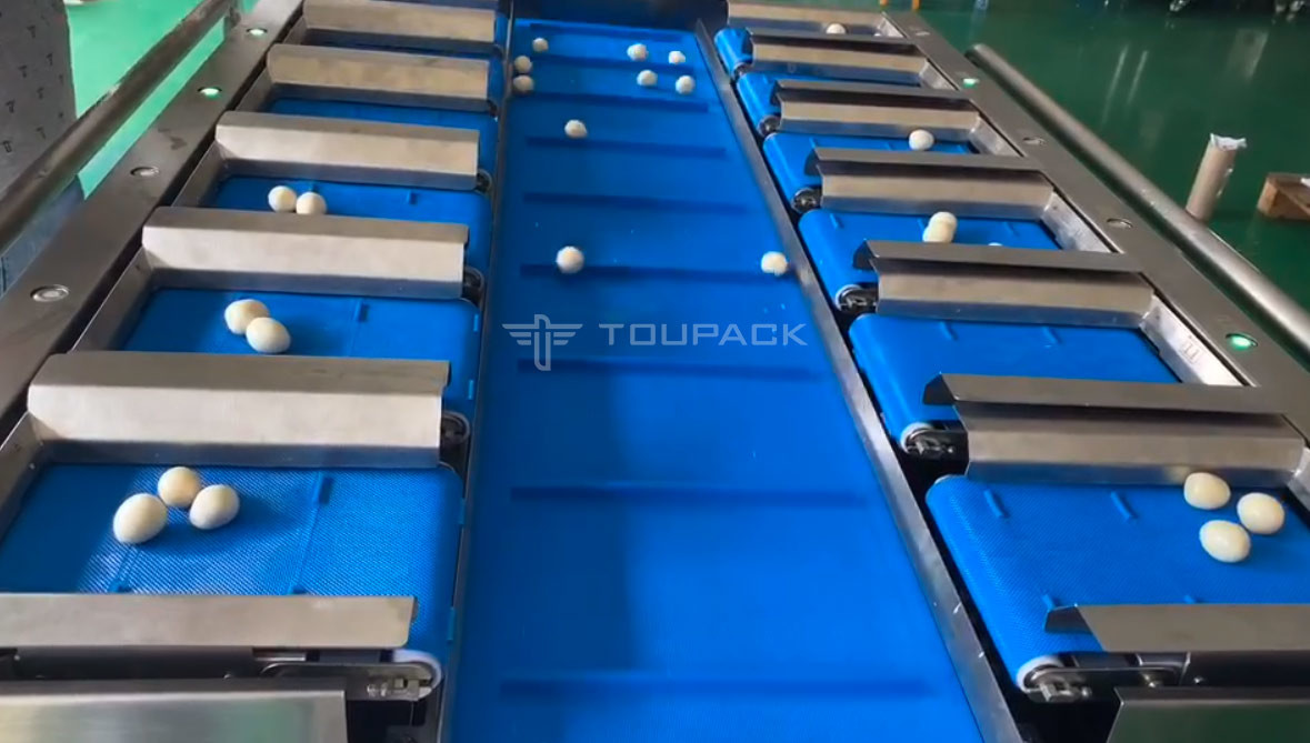 PLC Control System 12 Head Combination Weigher For Squid Cone Quail Eggs