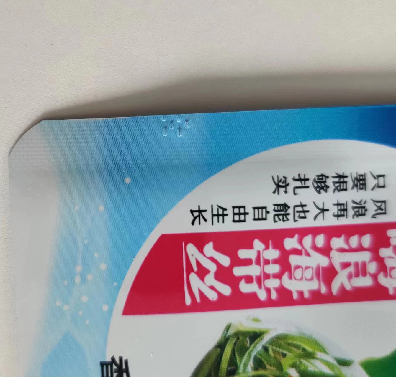3 Side Seal pouch manufacturer Composite Plastic Bag CPP Biodegradable ODM