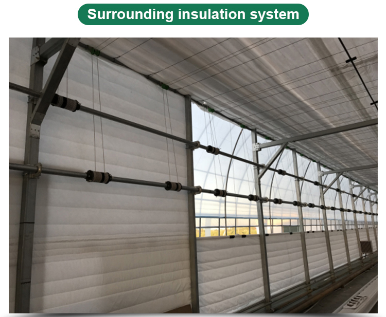 Multi-Span Agricultural Greenhouses Advanced Hydroponic Growing System for Section 4m/8m