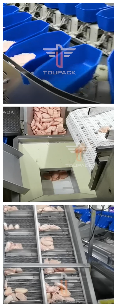 300g 300pcs/Min Frozen Food Packing Machine Highly Intelligent
