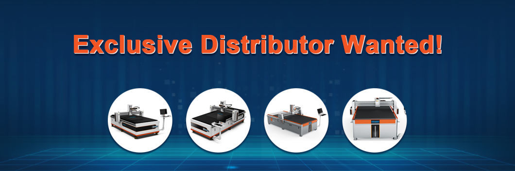 Chinese Factory Inventions Laser Grinding Machine Glass/Automatic Glass Frosting Machine/Mirror for Laser Machine