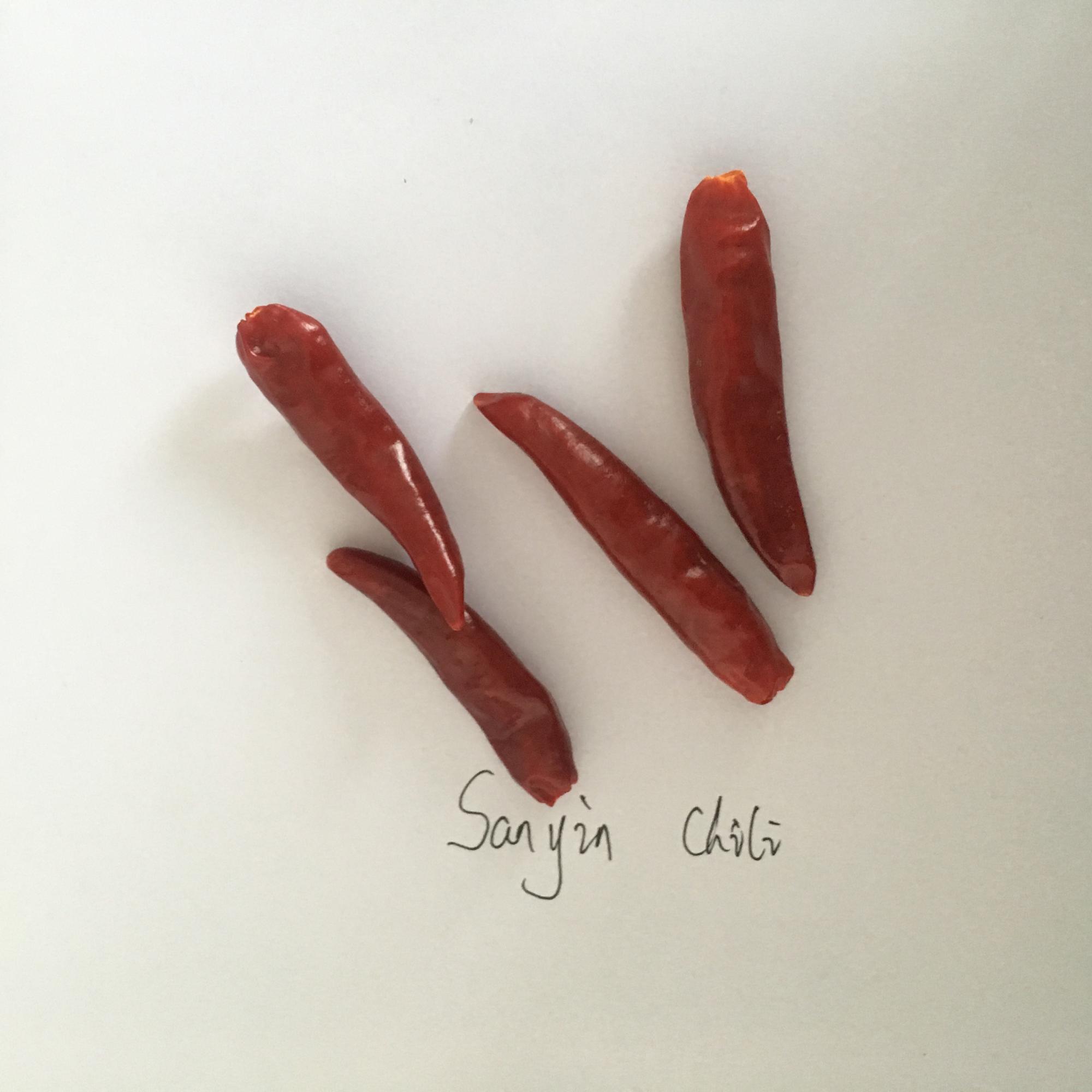 High Pungency Raw Tianjin Red Chilies Chinese Dried Red Chili Peppers