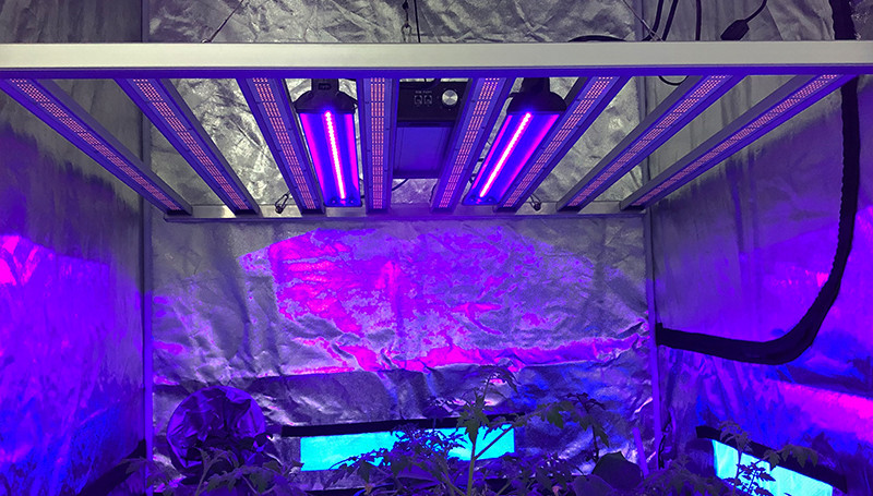 Seoul 30W 730nm Supplemental LED Grow Light For Cannabis Hydroponics