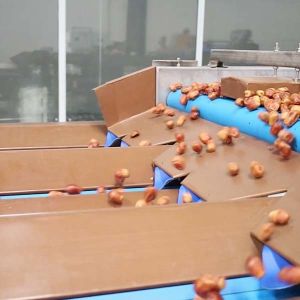 Optimal Size Sorting 1.4 Tons Per Hour 6-Lane Palm Dates Sorting Machine