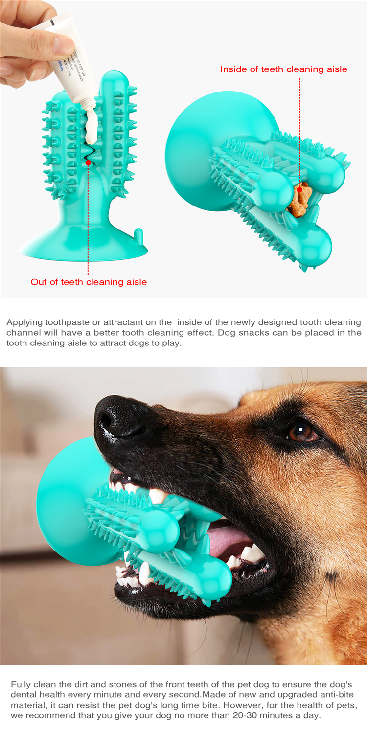 High Quality Dog Chew Toys Cactus Shape Dog Toothbrush Pet Suction Cup Toys For Pet