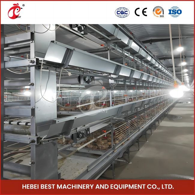 Poultry Farm Battery Baby Chick Brooder Cage For Sales Ada