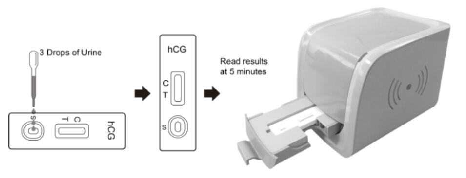 FHC-R102 Hcg Rapid Test Reader Convenient Rapid Pregnancy Test Kit
