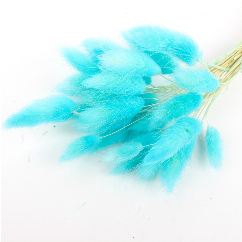 100% Natural Dried Rabbit Tail Grass , Pretty Dried Flowers Keep Freshness