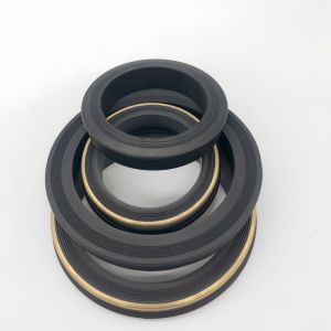  Elastomer 1502 Union Lip Seal Gasket With Buna W/ Stainless Steel Backing Manufactures