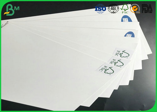 ivory paper