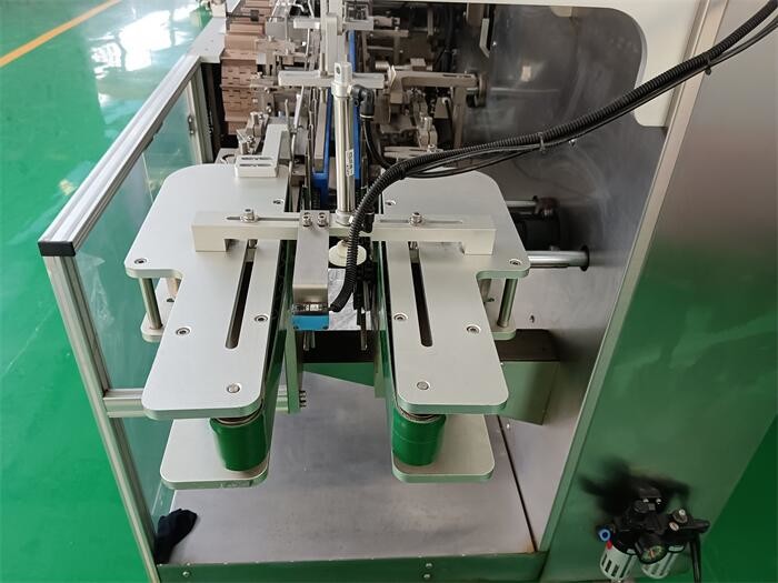 Smart Cartoners For Pharma Packaging, AI Driven 200 BPM Automated Cartoning Machine For Blister Packs, Vials And Syringes