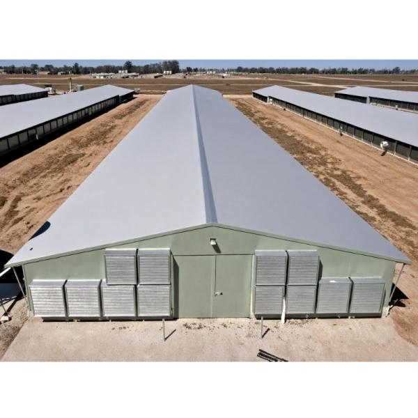 Quality Commercial Steel Structure Prefab Chicken Broiler Poultry Farm Building for sale