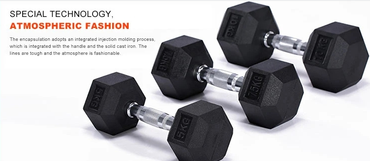Custom Logo Hex Dumbbell Free Weights Home Fitness Workout for Arms Made of Iron and Rubber Cast Iron Material for Gym Use