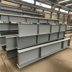 Customizable Industrial Steel Building with Steel Structure Frame and High