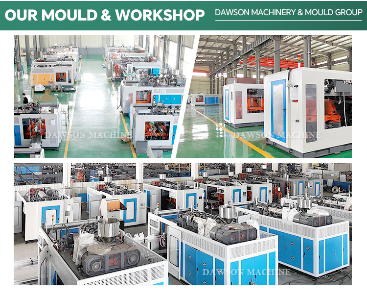 Automatic 500ml 600ml 800ml PET Pesticide Bottle Blowing Molding Machine