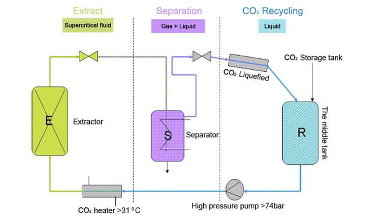5L Supercritical Co2 Cannabinoid Extraction Equipment With LCD Monitor