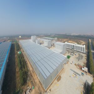 Custom Steel Frame Factory Warehouse Q355B Structure
